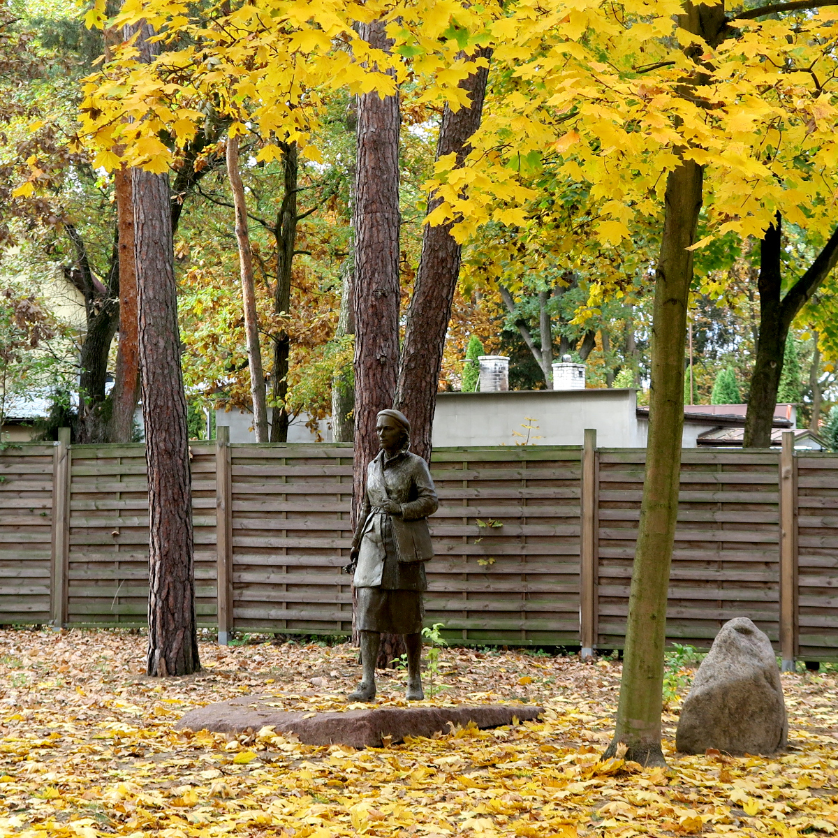Image_1