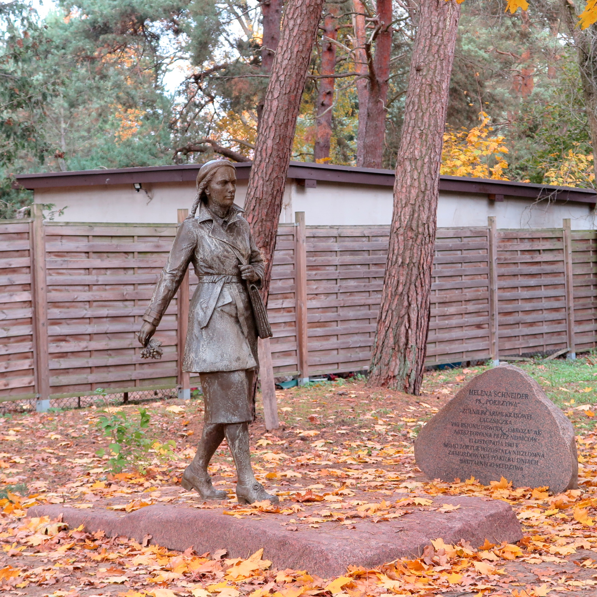 Image_3
