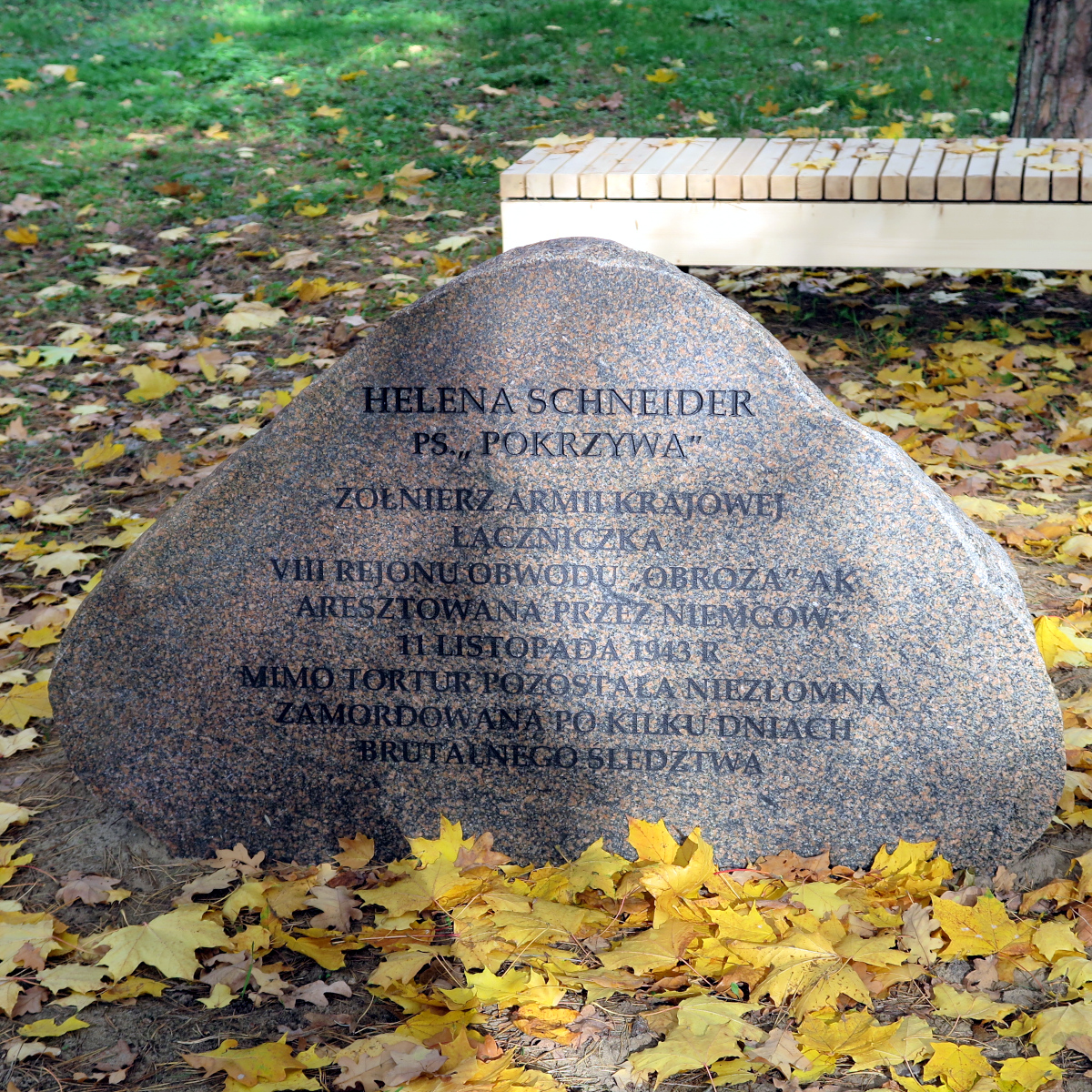 Image_4