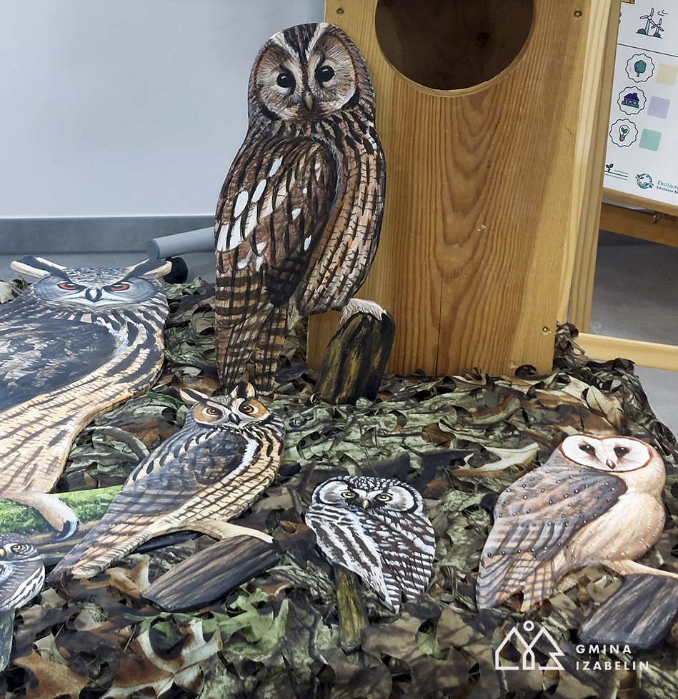 aktualność: Podglądamy ptaki, poznajemy przyrodę