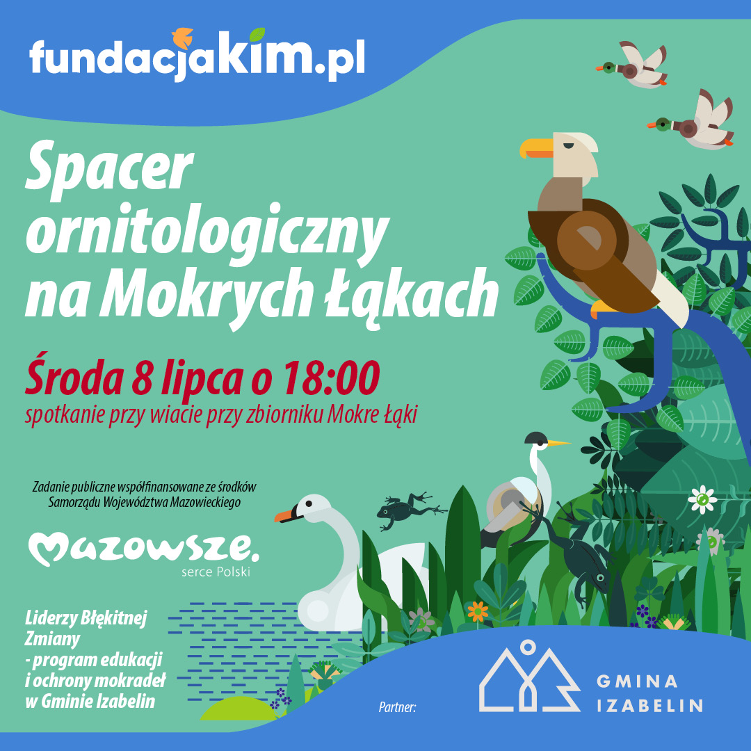 aktualność: Mokre Łąki i ich mieszkańcy...
