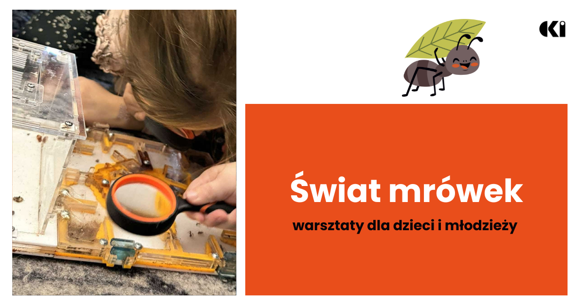 aktualność: Świat mrówek // 26.08 (środa), godz. 11:00