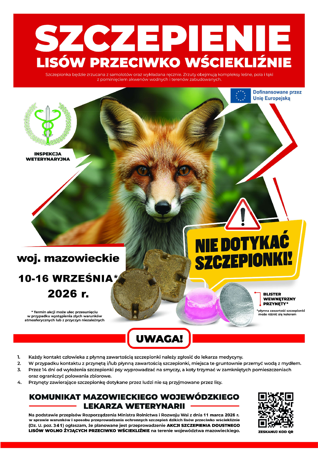 aktualność: Szczepienie lisów przeciwko wściekliźnie